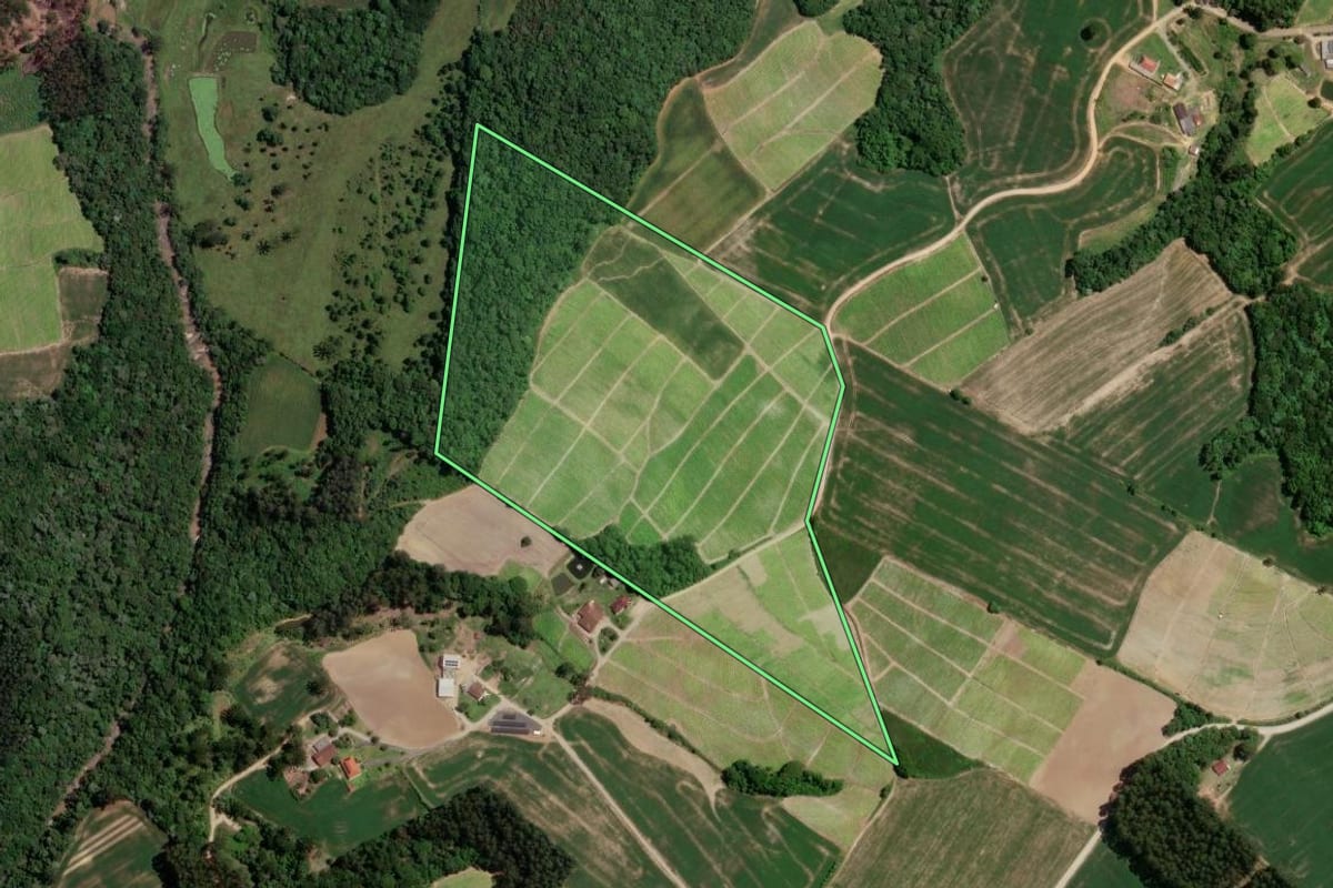 Imagem de satélite do imóvel rural em Rio Azul (PR), com o contorno declarado no CAR desenhado por cima.