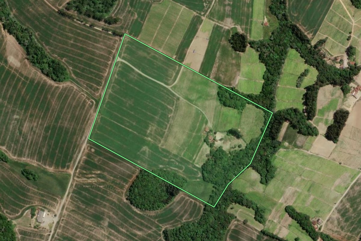 Imagem de satélite do imóvel rural em Rio Azul (PR), com o contorno declarado no CAR desenhado por cima.