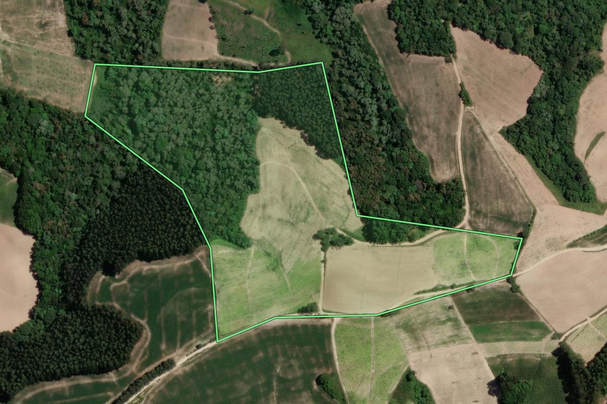 Imagem de satélite do imóvel rural em Rio Azul (PR), com o contorno declarado no CAR desenhado por cima.