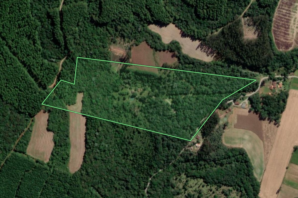 Imagem de satélite do imóvel rural em Rio Azul (PR), com o contorno declarado no CAR desenhado por cima.