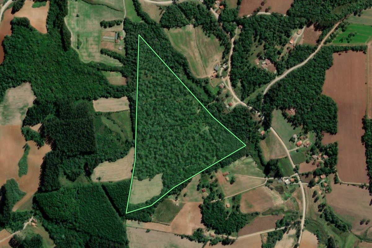 Imagem de satélite do imóvel rural em Rio Azul (PR), com o contorno declarado no CAR desenhado por cima.