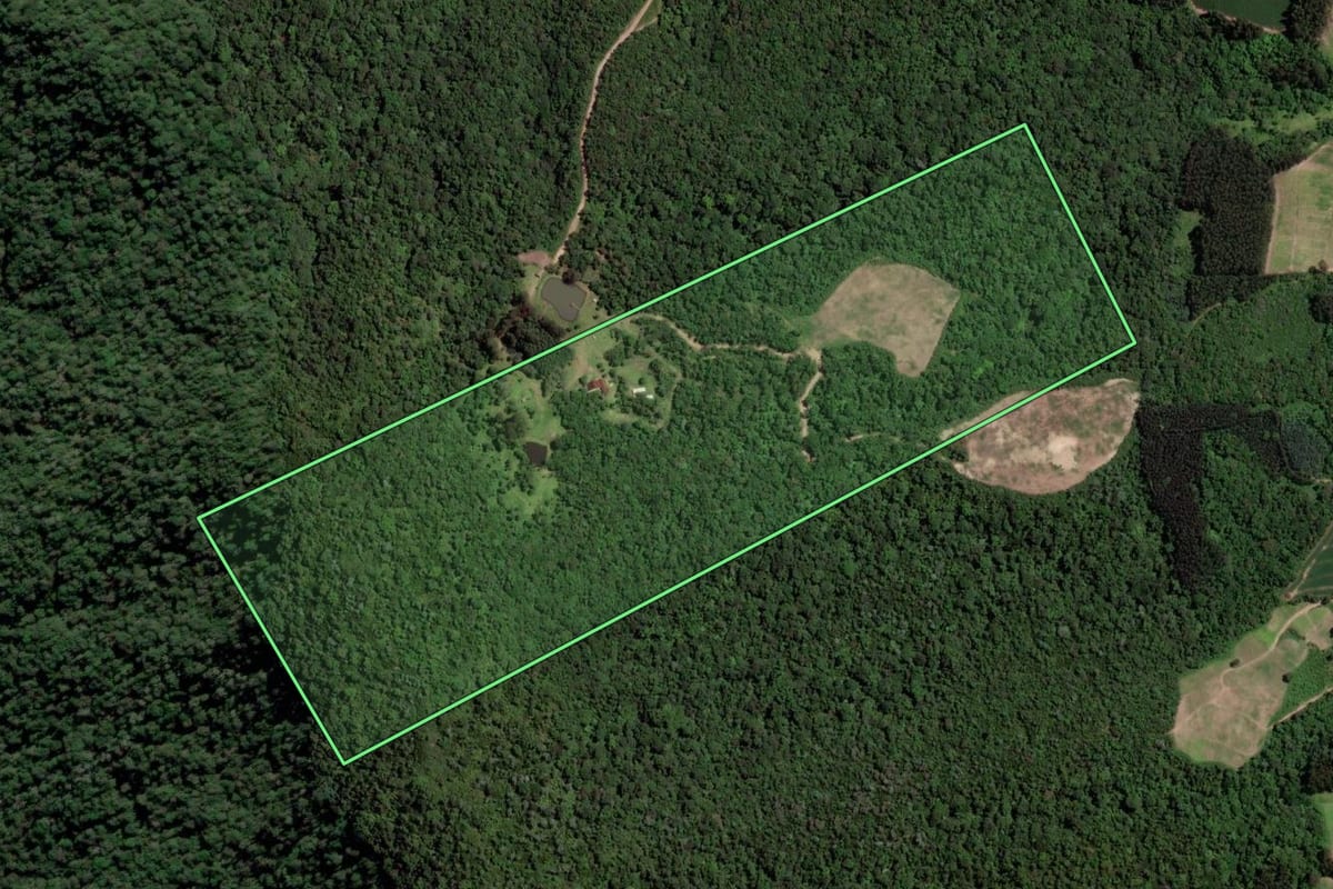 Imagem de satélite do imóvel rural em Rio Azul (PR), com o contorno declarado no CAR desenhado por cima.