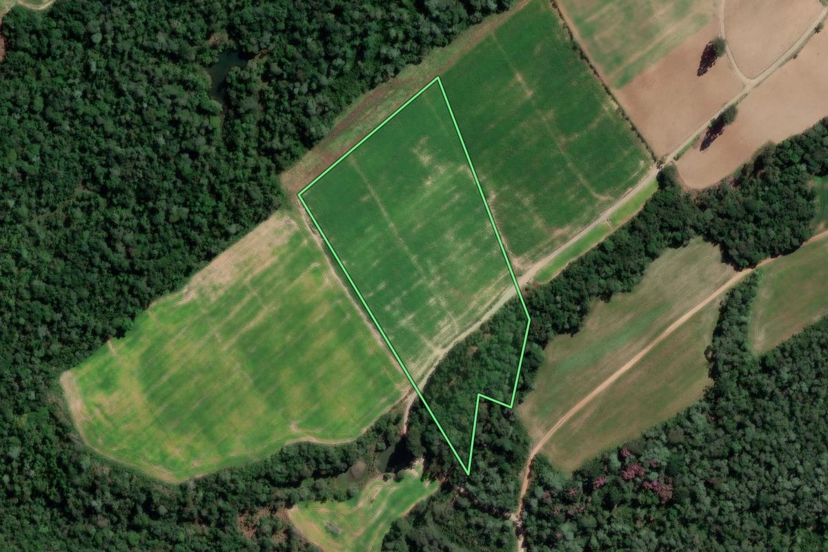 Imagem de satélite do imóvel rural em Rio Azul (PR), com o contorno declarado no CAR desenhado por cima.