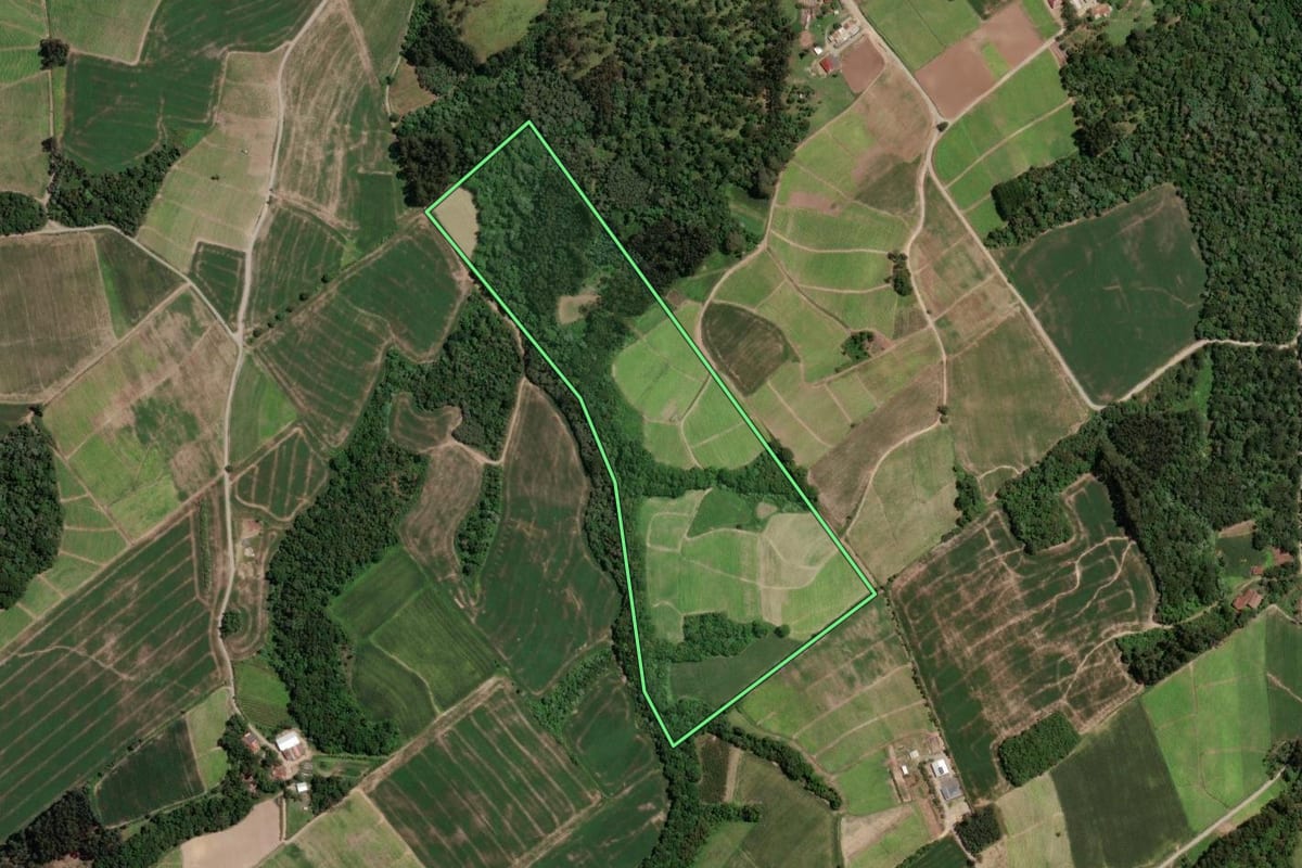 Imagem de satélite do imóvel rural em Rio Azul (PR), com o contorno declarado no CAR desenhado por cima.