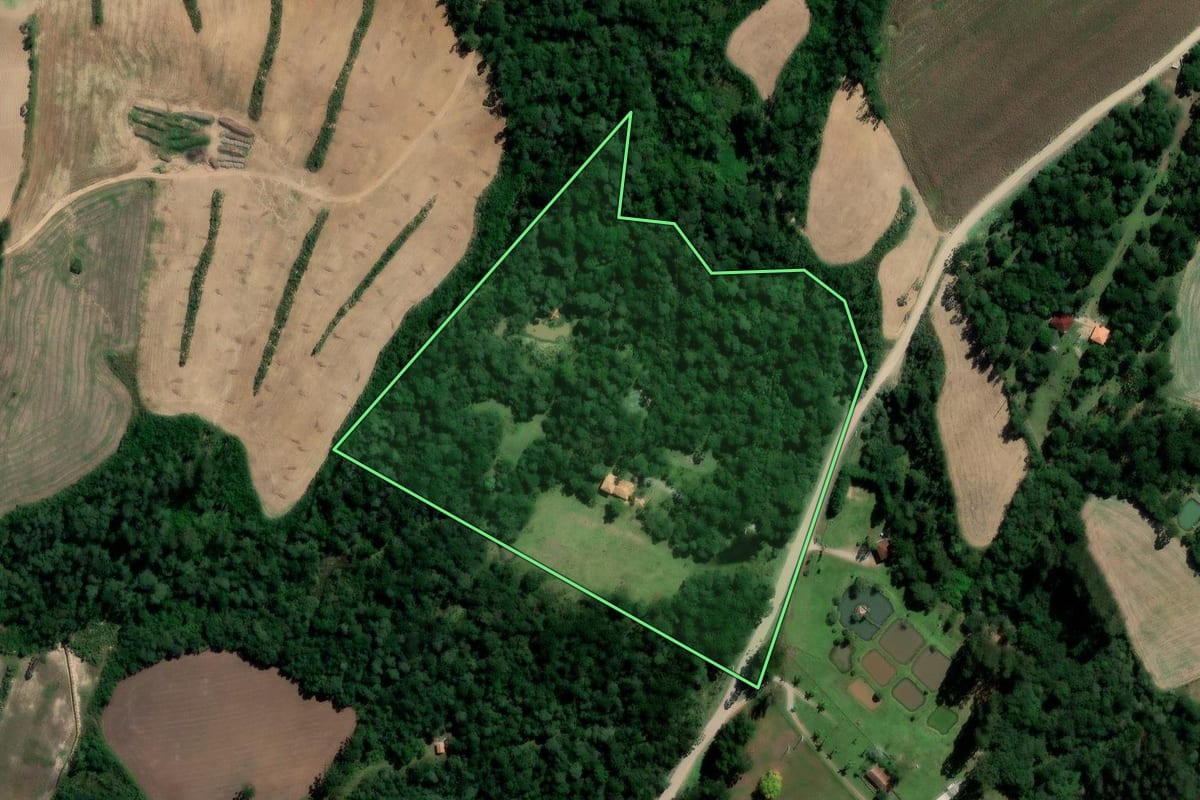 Imagem de satélite do imóvel rural em Rio Azul (PR), com o contorno declarado no CAR desenhado por cima.