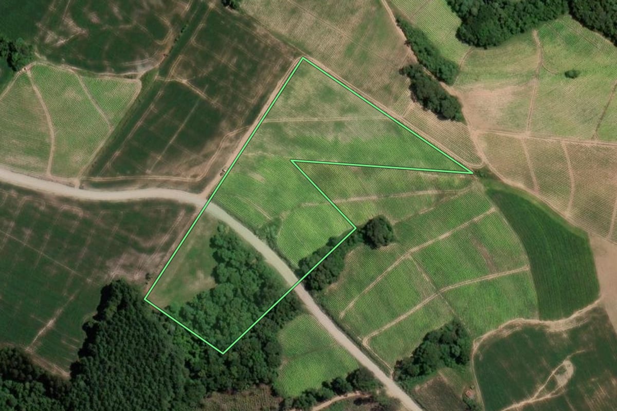 Imagem de satélite do imóvel rural em Rio Azul (PR), com o contorno declarado no CAR desenhado por cima.