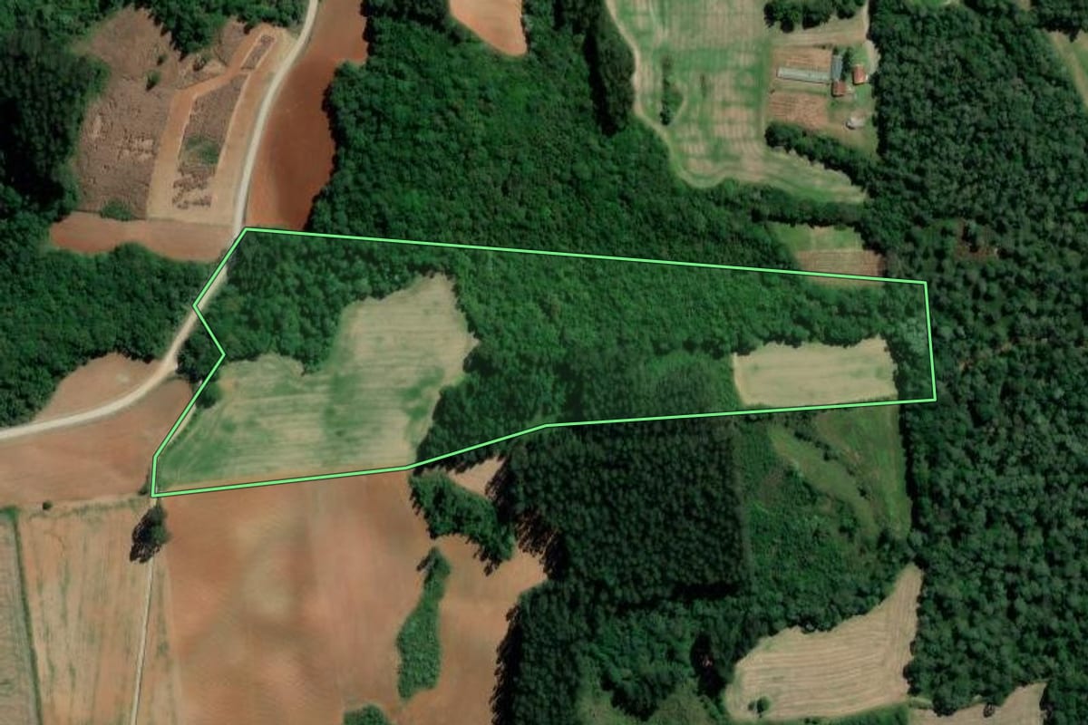 Imagem de satélite do imóvel rural em Rio Azul (PR), com o contorno declarado no CAR desenhado por cima.
