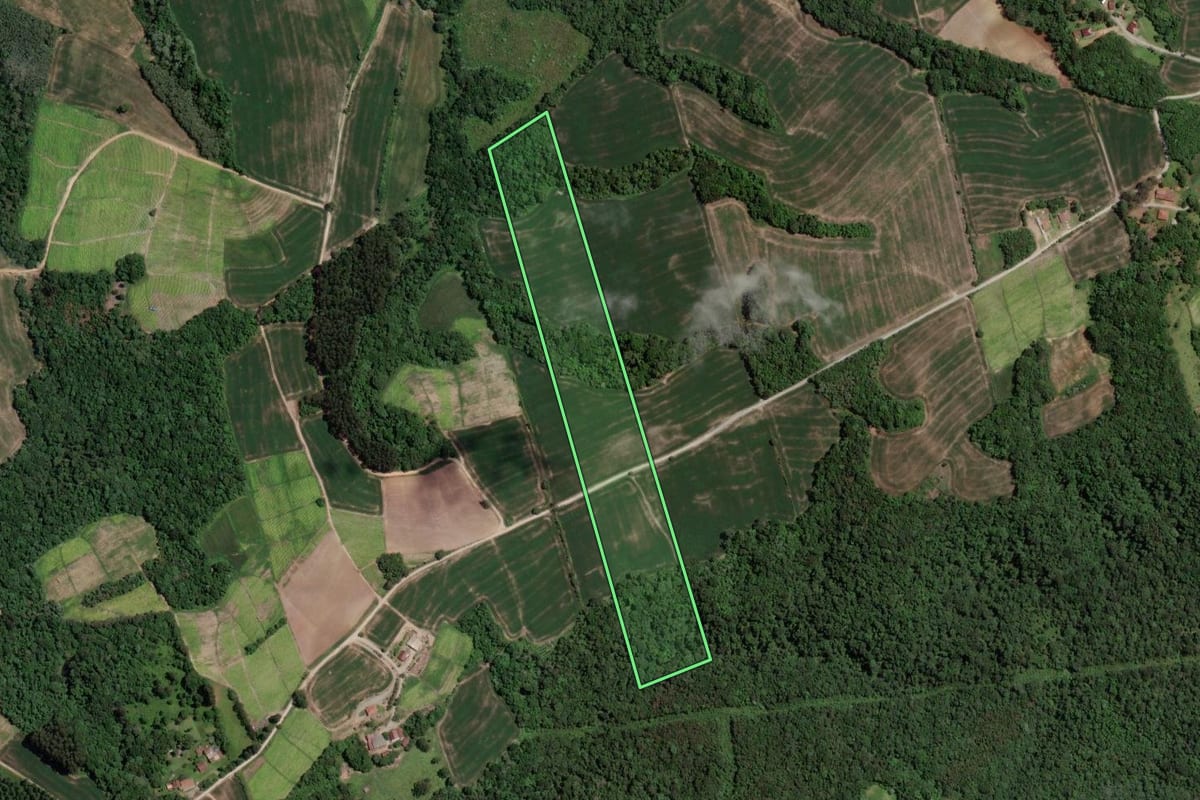 Imagem de satélite do imóvel rural em Rio Azul (PR), com o contorno declarado no CAR desenhado por cima.