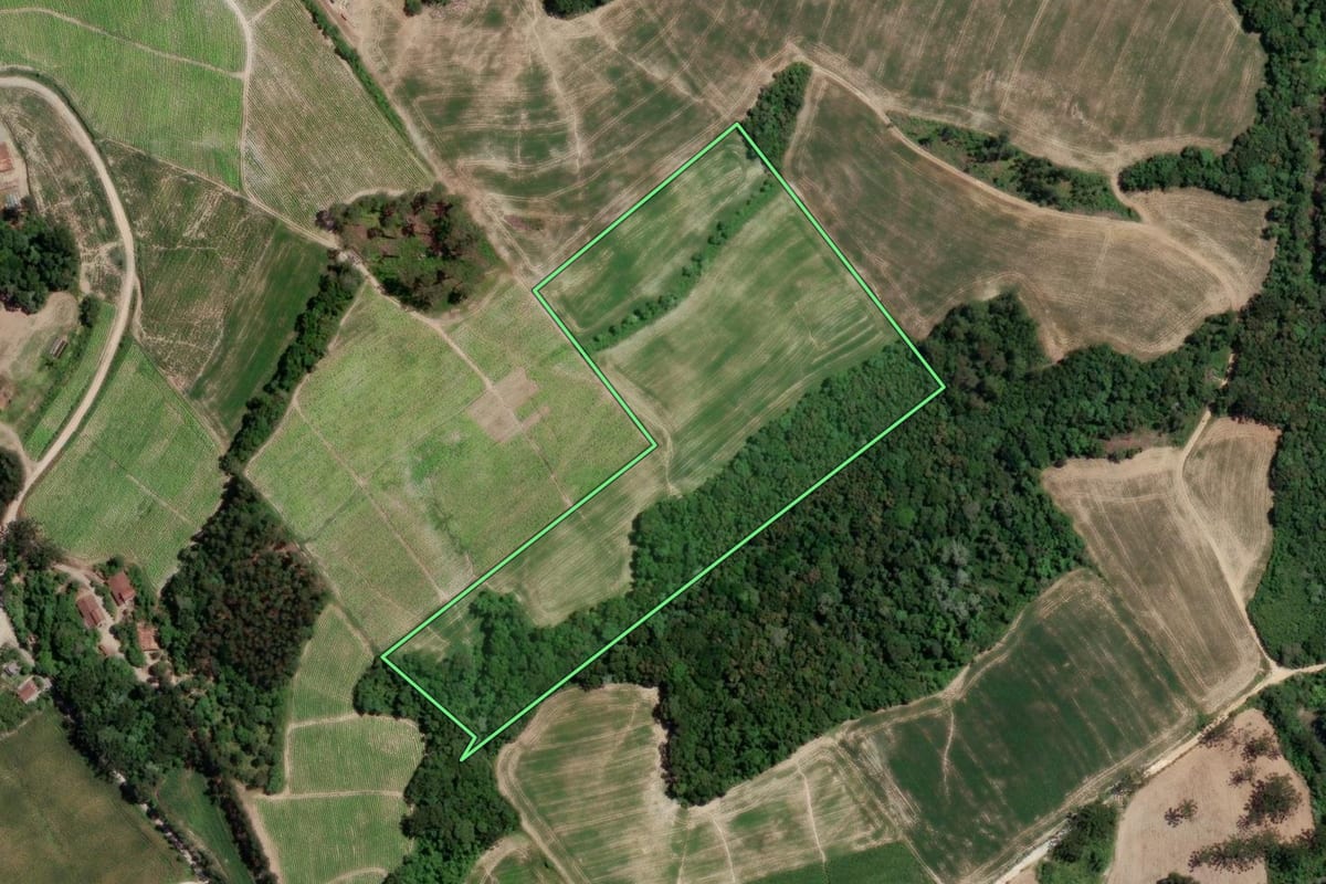 Imagem de satélite do imóvel rural em Rio Azul (PR), com o contorno declarado no CAR desenhado por cima.