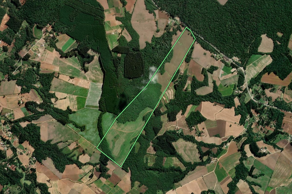 Imagem de satélite do imóvel rural em Rio Azul (PR), com o contorno declarado no CAR desenhado por cima.