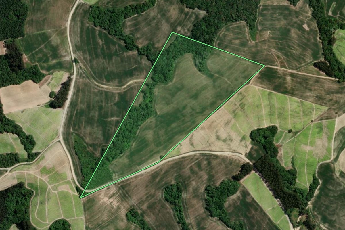 Imagem de satélite do imóvel rural em Rio Azul (PR), com o contorno declarado no CAR desenhado por cima.