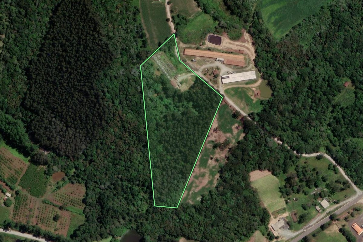 Imagem de satélite do imóvel rural em Rio Azul (PR), com o contorno declarado no CAR desenhado por cima.