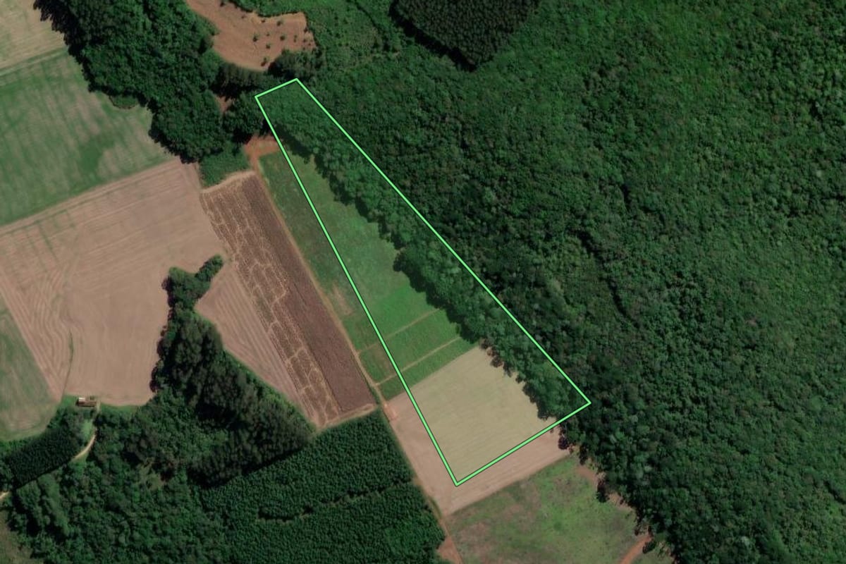 Imagem de satélite do imóvel rural em Rio Azul (PR), com o contorno declarado no CAR desenhado por cima.