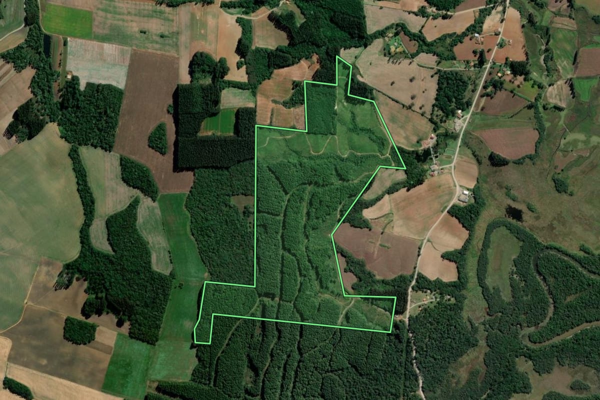 Imagem de satélite do imóvel rural em Rio Azul (PR), com o contorno declarado no CAR desenhado por cima.