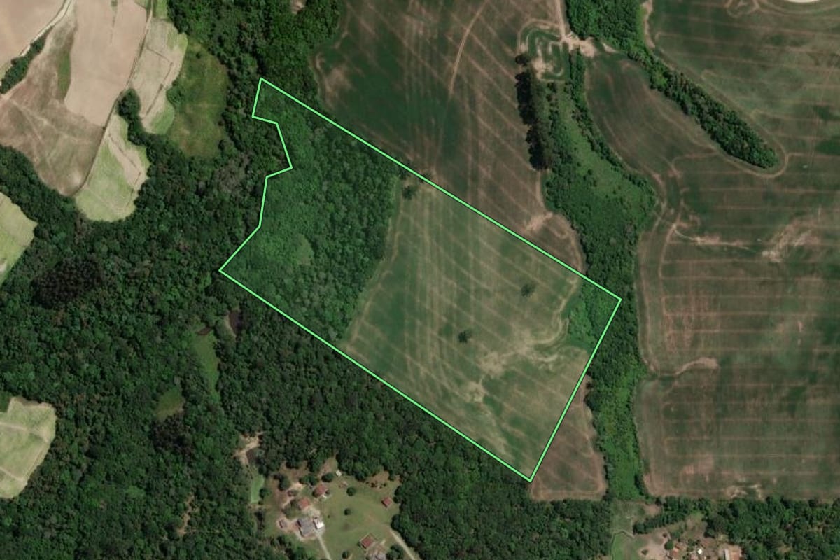 Imagem de satélite do imóvel rural em Rio Azul (PR), com o contorno declarado no CAR desenhado por cima.
