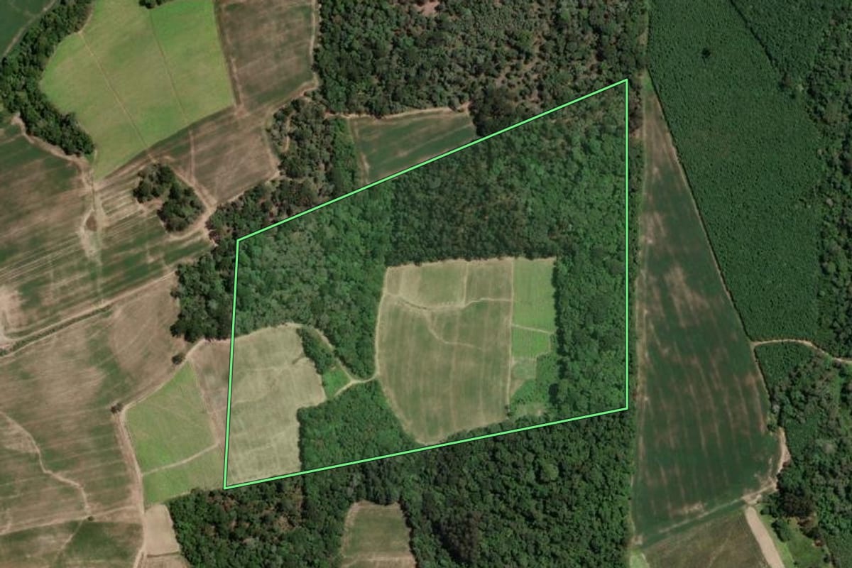 Imagem de satélite do imóvel rural em Rio Azul (PR), com o contorno declarado no CAR desenhado por cima.