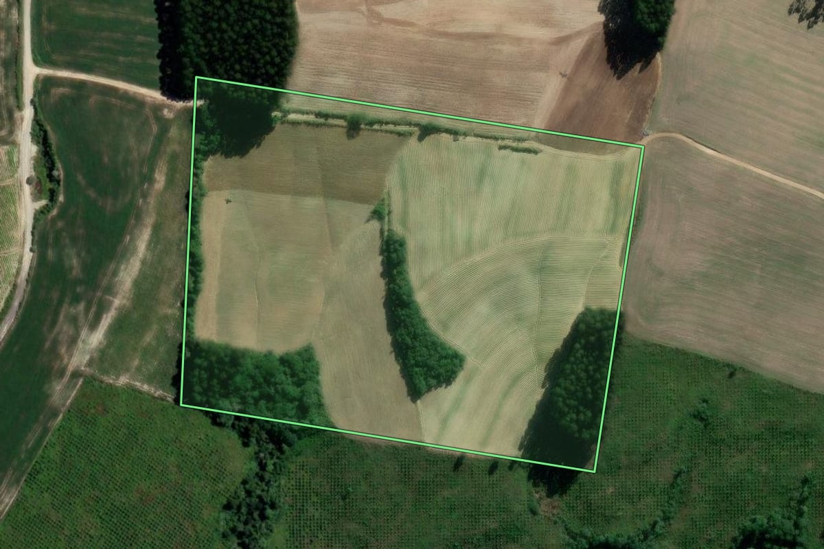 Imagem de satélite do imóvel rural em Rio Azul (PR), com o contorno declarado no CAR desenhado por cima.