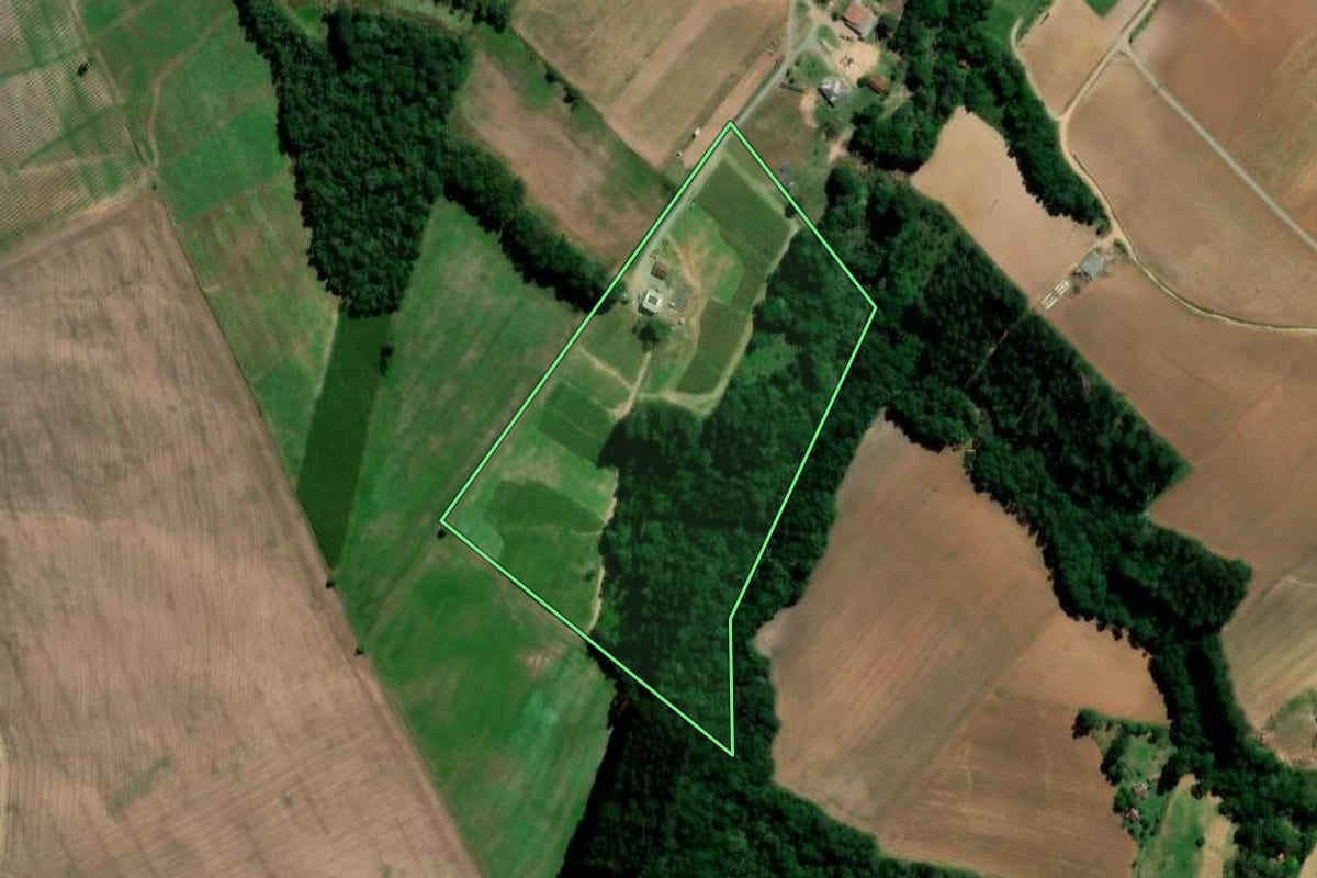 Imagem de satélite do imóvel rural em Rio Azul (PR), com o contorno declarado no CAR desenhado por cima.