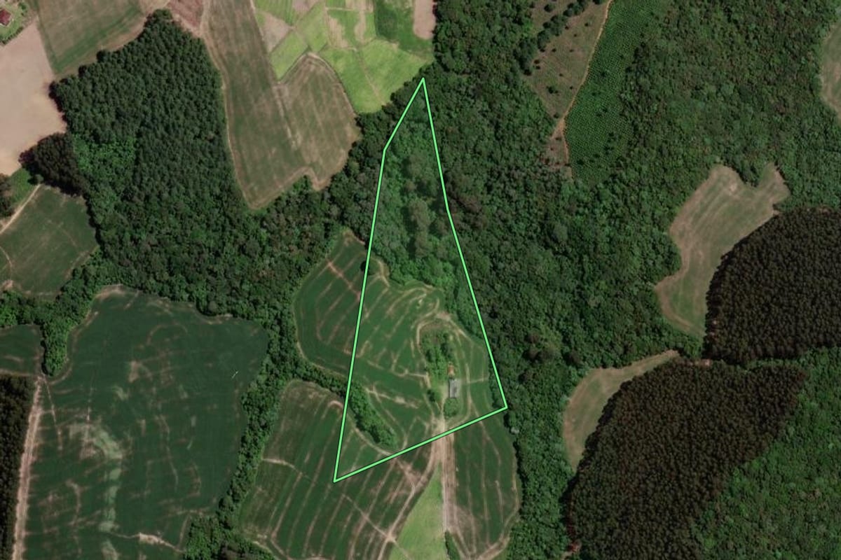 Imagem de satélite do imóvel rural em Rio Azul (PR), com o contorno declarado no CAR desenhado por cima.
