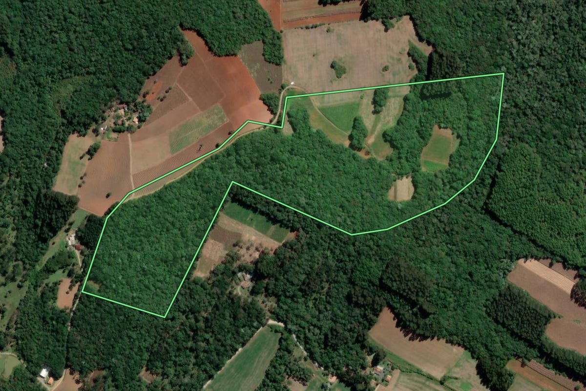 Imagem de satélite do imóvel rural em Rio Azul (PR), com o contorno declarado no CAR desenhado por cima.