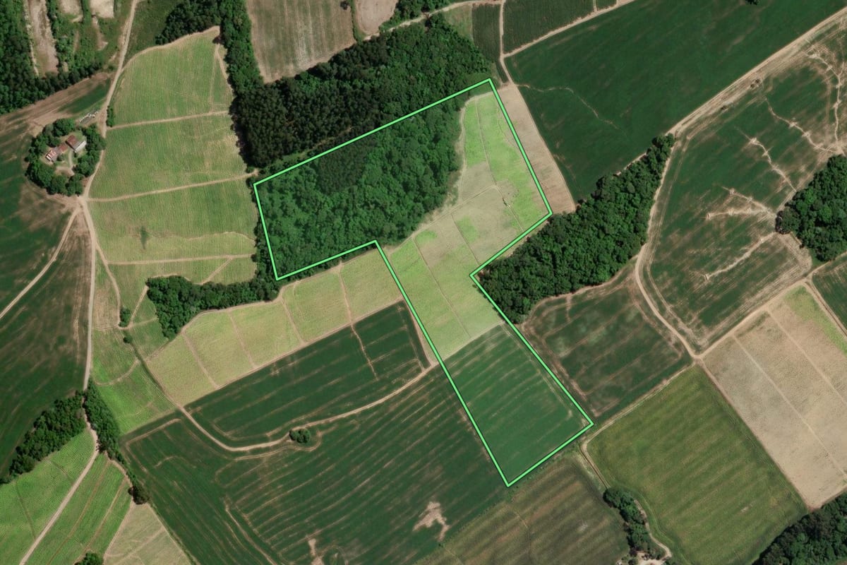 Imagem de satélite do imóvel rural em Rio Azul (PR), com o contorno declarado no CAR desenhado por cima.