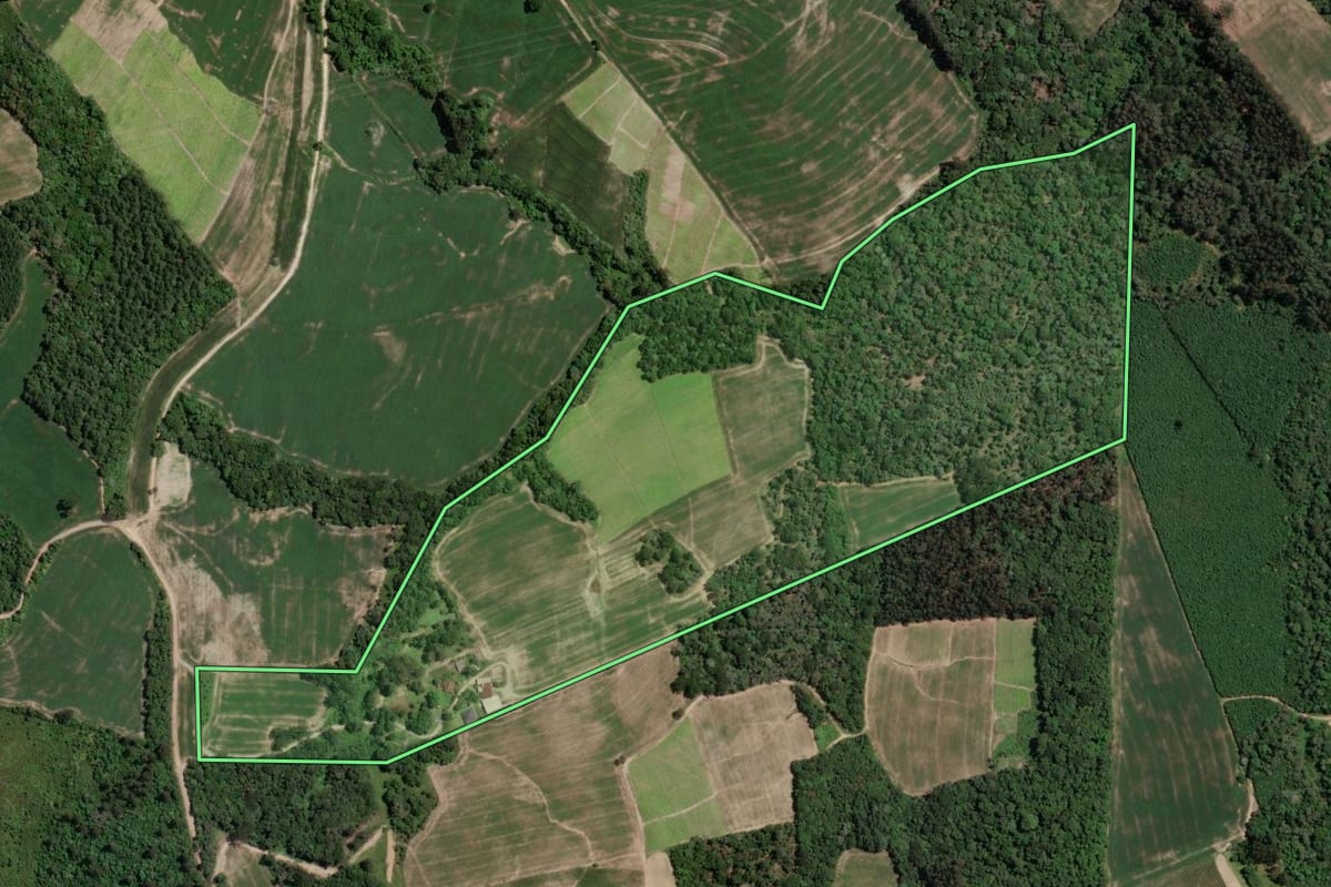 Imagem de satélite do imóvel rural em Rio Azul (PR), com o contorno declarado no CAR desenhado por cima.