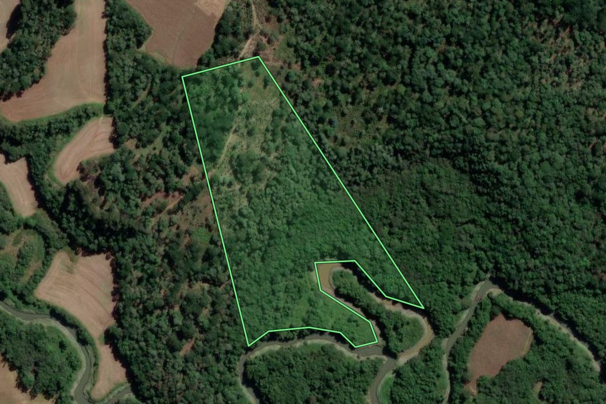 Imagem de satélite do imóvel rural em Rio Azul (PR), com o contorno declarado no CAR desenhado por cima.
