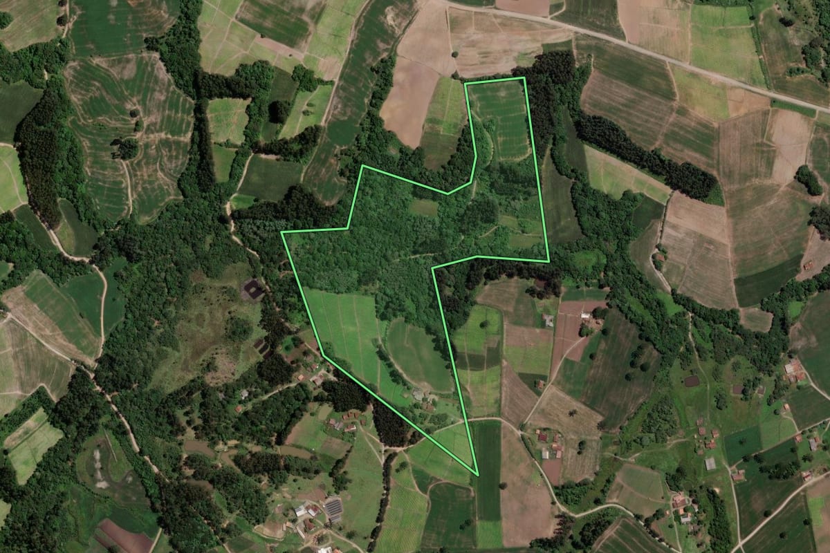 Imagem de satélite do imóvel rural em Rio Azul (PR), com o contorno declarado no CAR desenhado por cima.