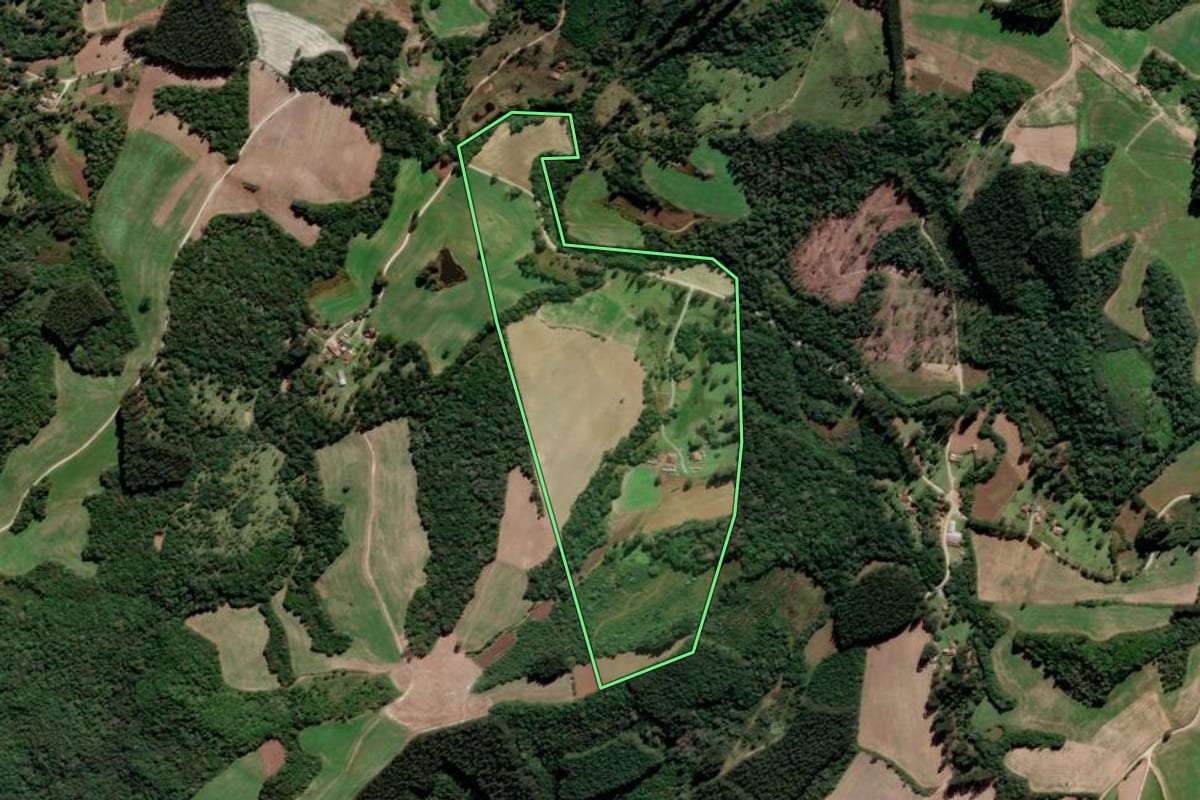 Imagem de satélite do imóvel rural em Rio Azul (PR), com o contorno declarado no CAR desenhado por cima.
