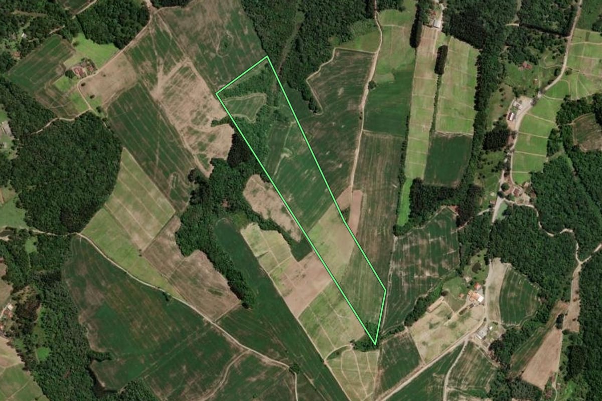 Imagem de satélite do imóvel rural em Rio Azul (PR), com o contorno declarado no CAR desenhado por cima.