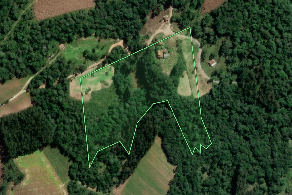 Imagem de satélite do imóvel rural em Rio Azul (PR), com o contorno declarado no CAR desenhado por cima.