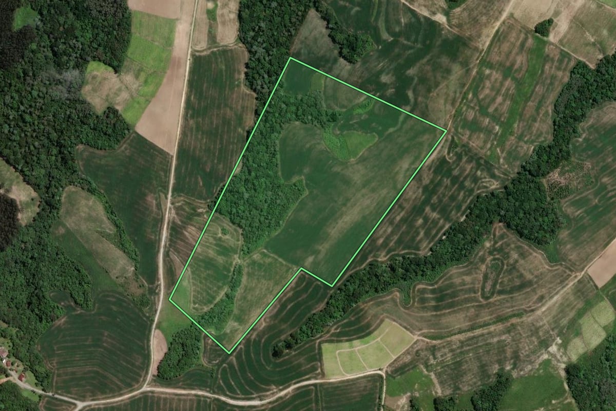 Imagem de satélite do imóvel rural em Rio Azul (PR), com o contorno declarado no CAR desenhado por cima.