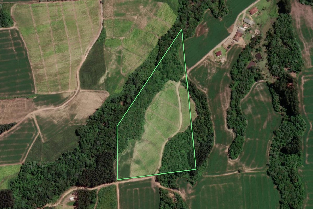 Imagem de satélite do imóvel rural em Rio Azul (PR), com o contorno declarado no CAR desenhado por cima.