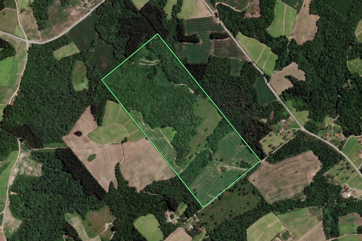 Imagem de satélite do imóvel rural em Rio Azul (PR), com o contorno declarado no CAR desenhado por cima.