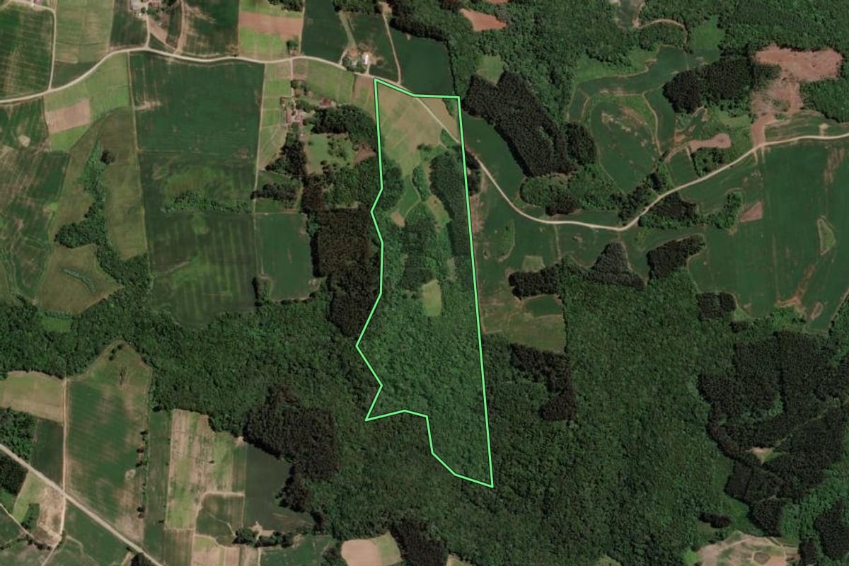 Imagem de satélite do imóvel rural em Rio Azul (PR), com o contorno declarado no CAR desenhado por cima.