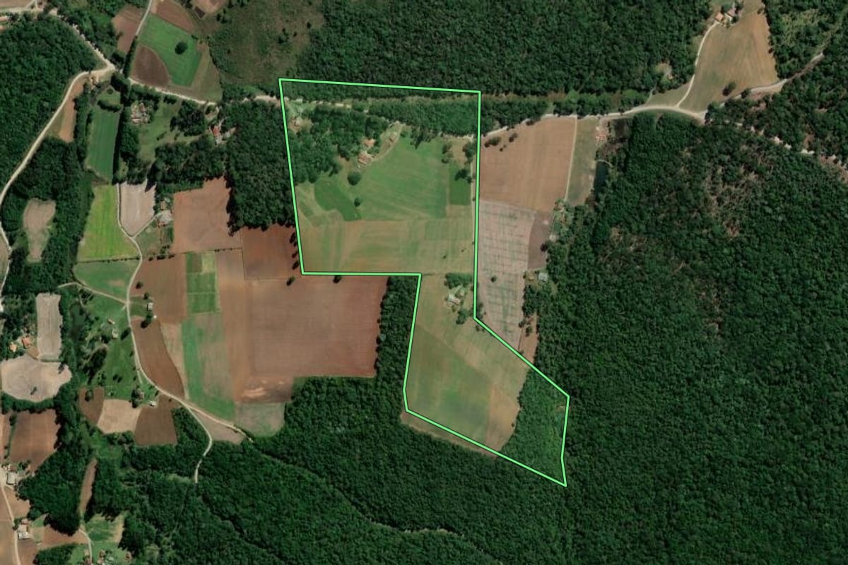 Imagem de satélite do imóvel rural em Rio Azul (PR), com o contorno declarado no CAR desenhado por cima.