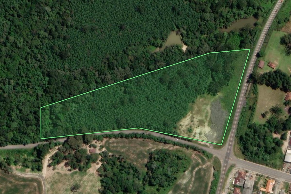 Imagem de satélite do imóvel rural em Rio Azul (PR), com o contorno declarado no CAR desenhado por cima.