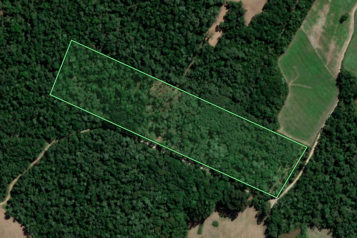 Imagem de satélite do imóvel rural em Rio Azul (PR), com o contorno declarado no CAR desenhado por cima.