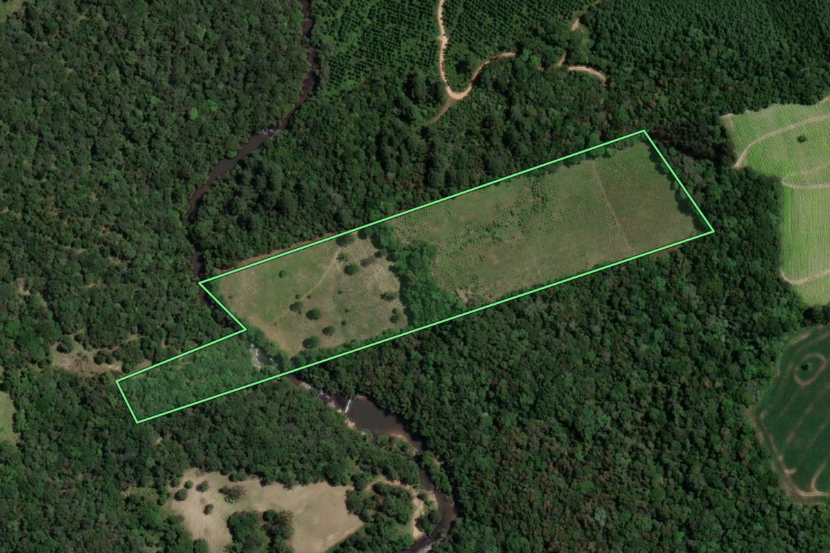 Imagem de satélite do imóvel rural em Rio Azul (PR), com o contorno declarado no CAR desenhado por cima.