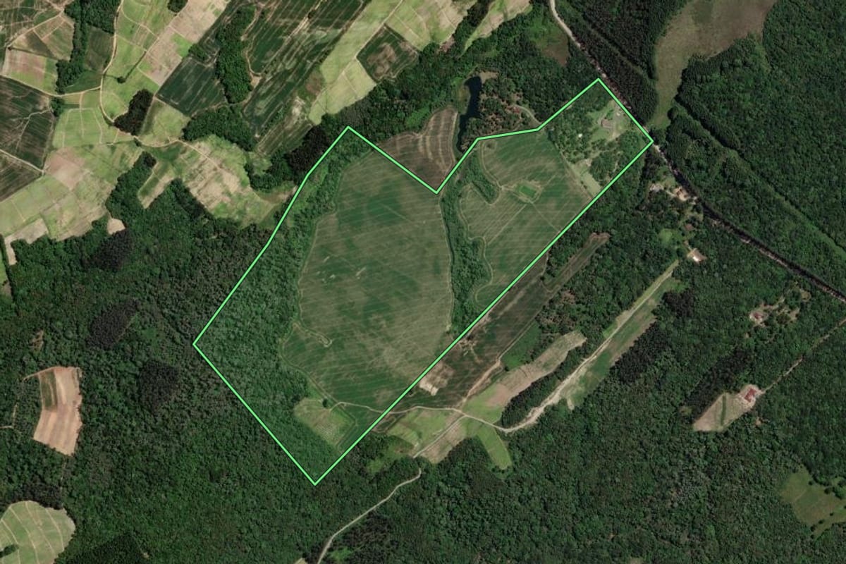Imagem de satélite do imóvel rural em Rio Azul (PR), com o contorno declarado no CAR desenhado por cima.