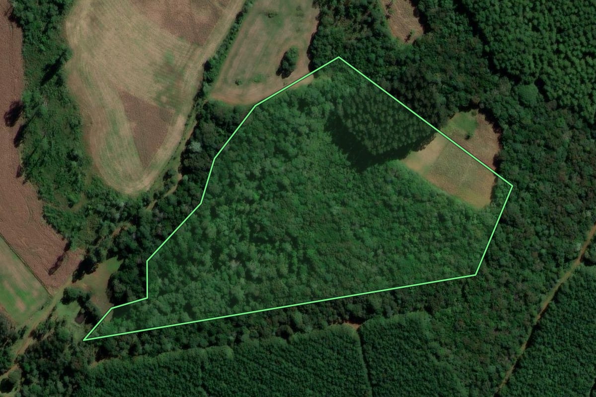 Imagem de satélite do imóvel rural em Rio Azul (PR), com o contorno declarado no CAR desenhado por cima.