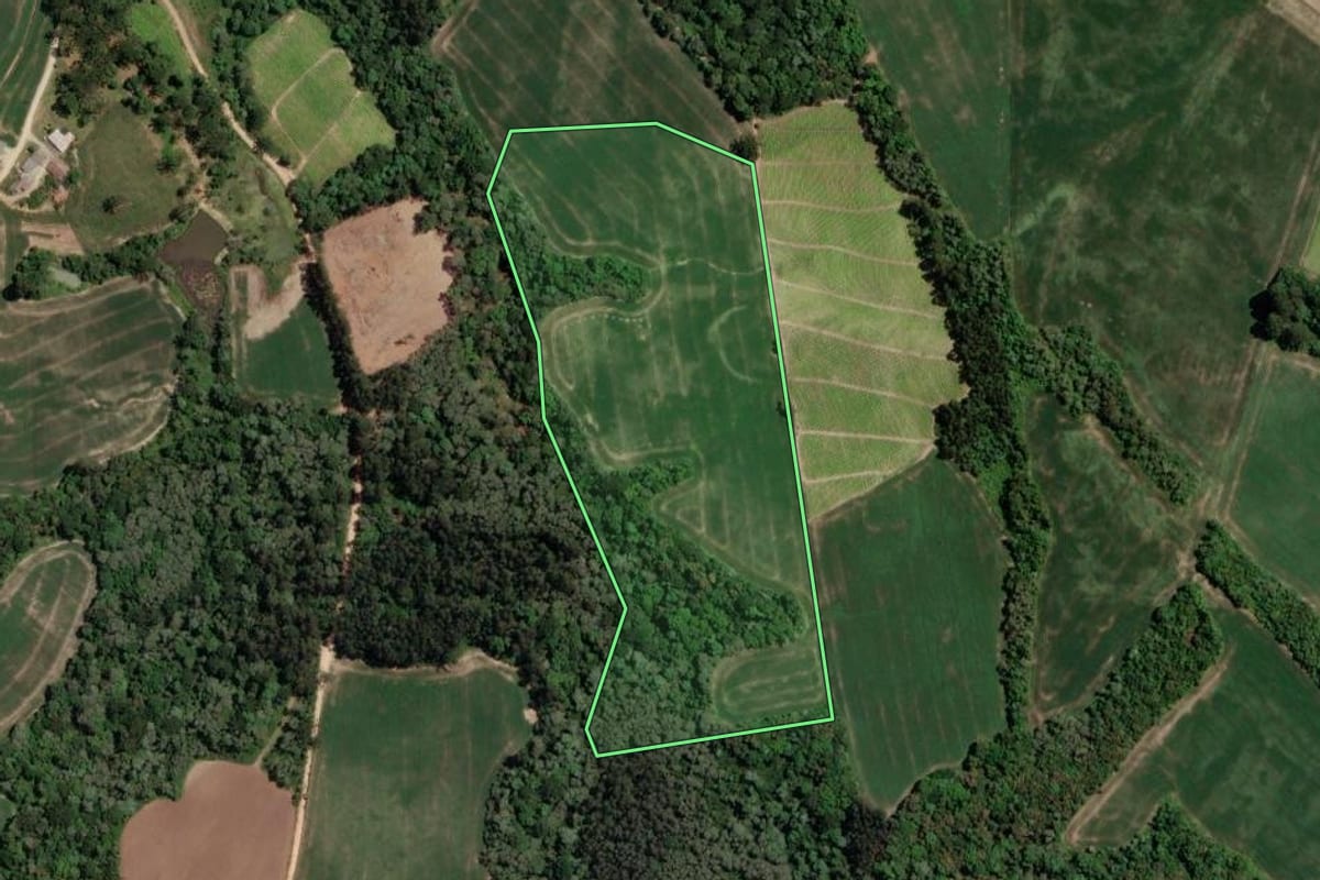 Imagem de satélite do imóvel rural em Rio Azul (PR), com o contorno declarado no CAR desenhado por cima.
