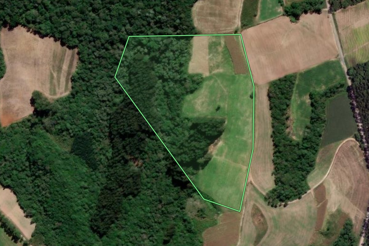 Imagem de satélite do imóvel rural em Rio Azul (PR), com o contorno declarado no CAR desenhado por cima.