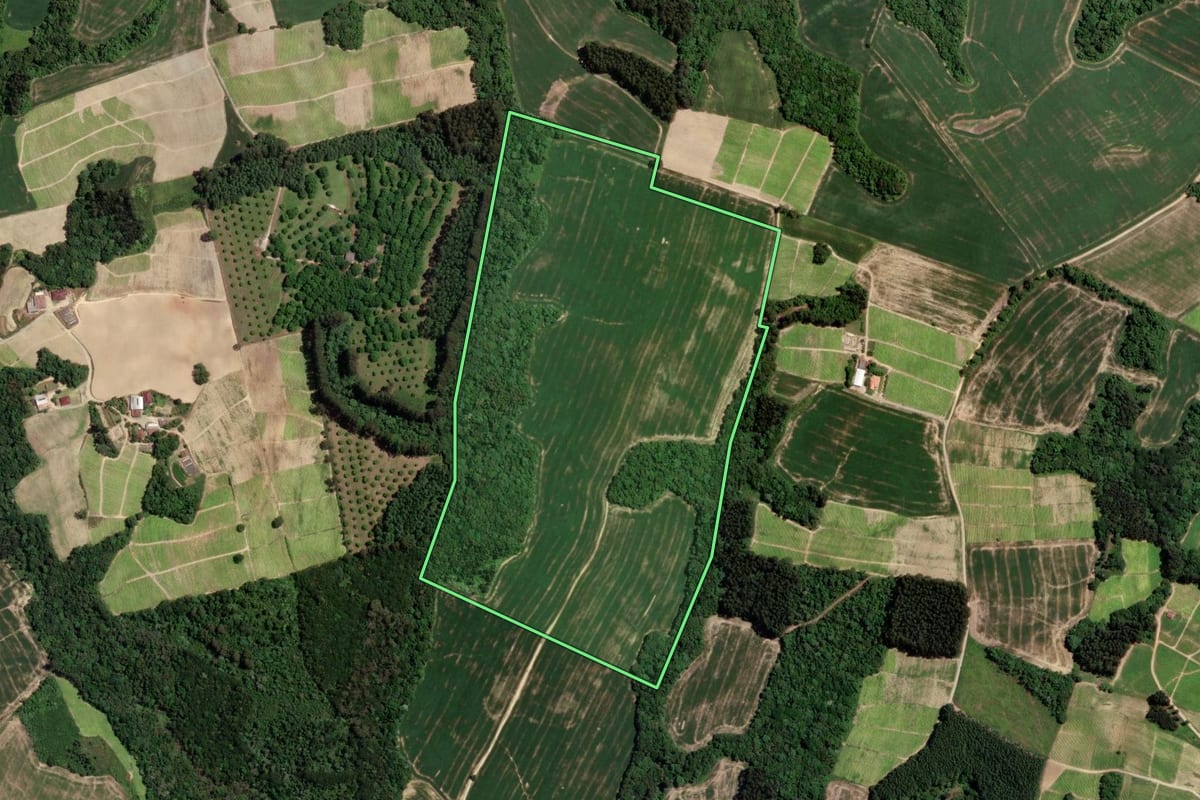 Imagem de satélite do imóvel rural em Rio Azul (PR), com o contorno declarado no CAR desenhado por cima.