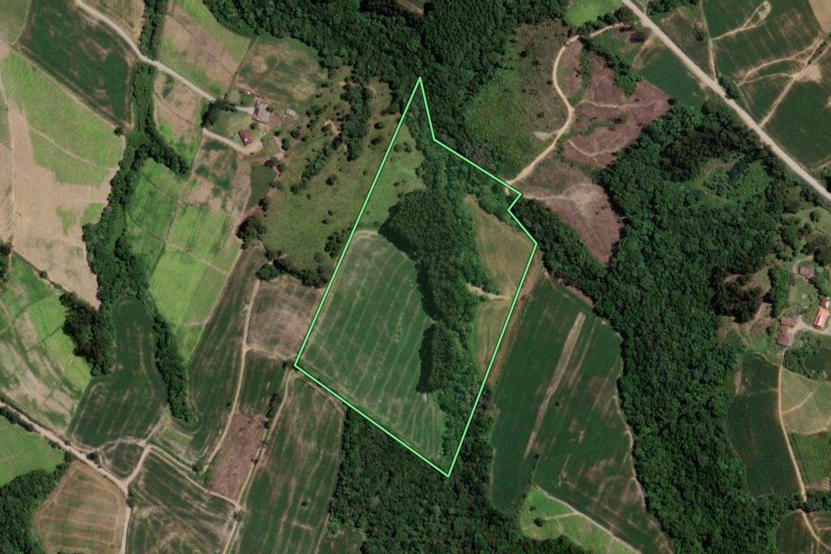 Imagem de satélite do imóvel rural em Rio Azul (PR), com o contorno declarado no CAR desenhado por cima.