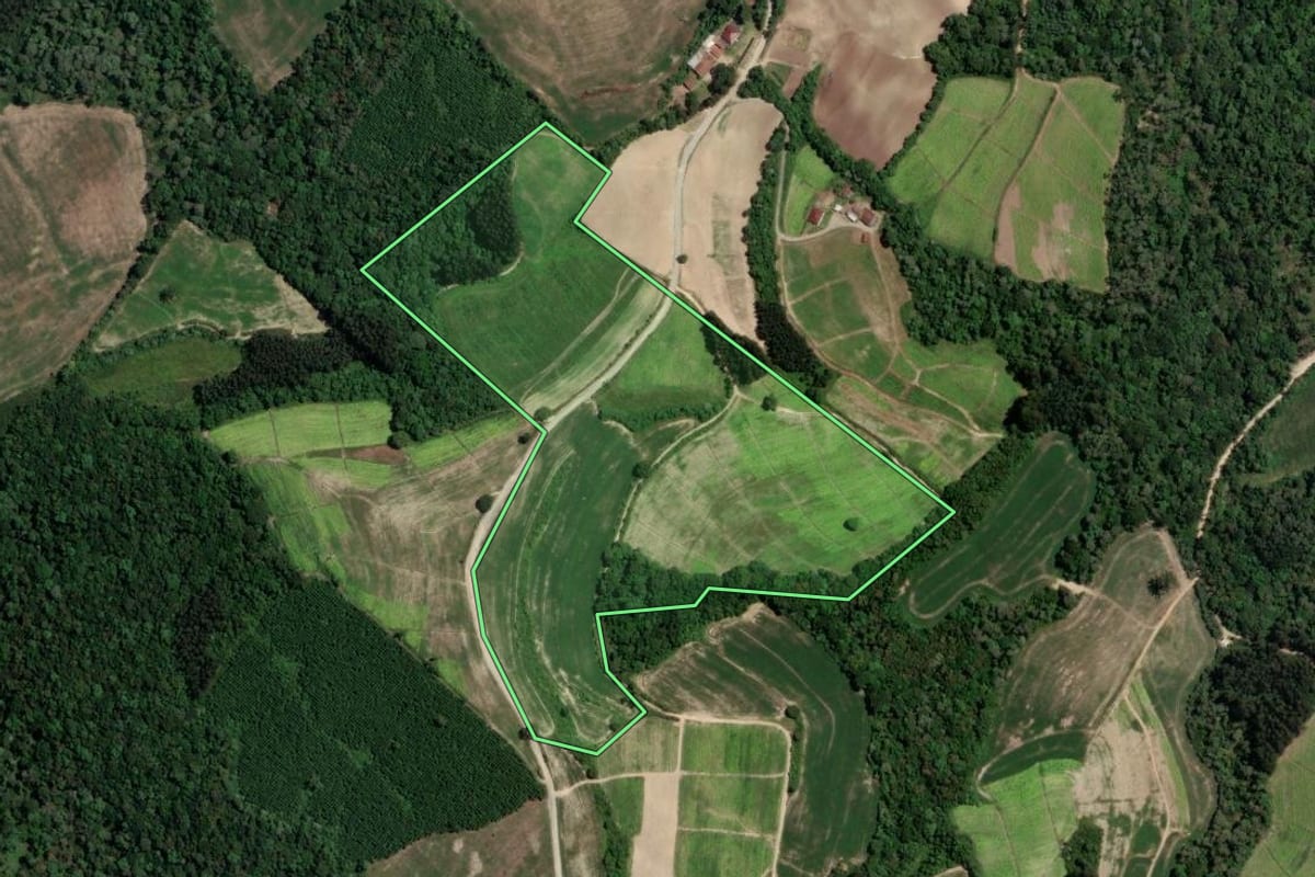 Imagem de satélite do imóvel rural em Rio Azul (PR), com o contorno declarado no CAR desenhado por cima.