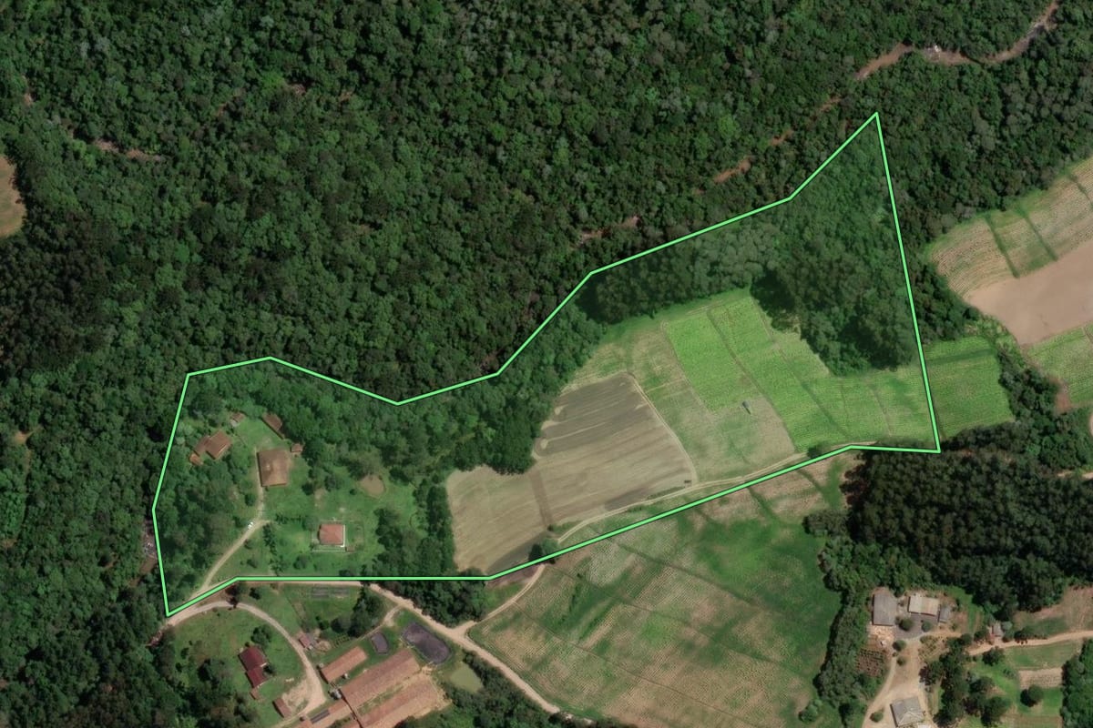Imagem de satélite do imóvel rural em Rio Azul (PR), com o contorno declarado no CAR desenhado por cima.
