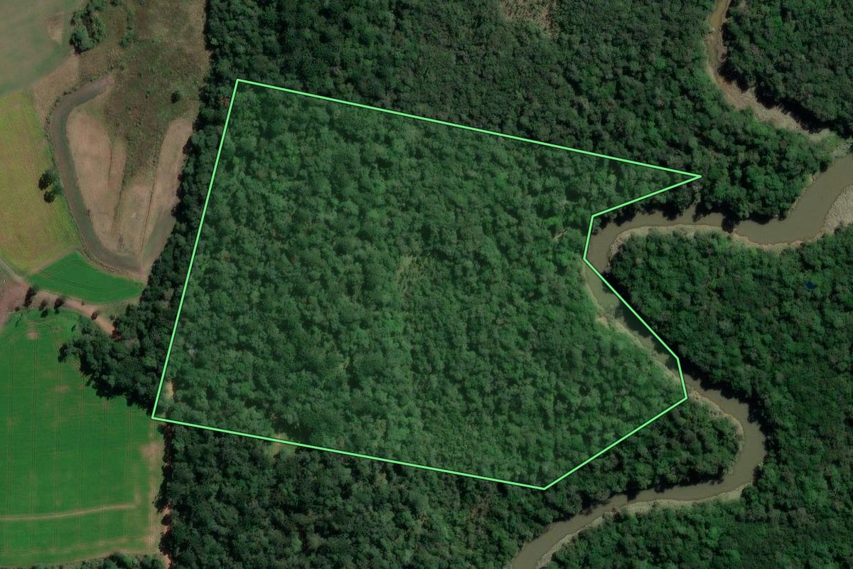 Imagem de satélite do imóvel rural em Rio Azul (PR), com o contorno declarado no CAR desenhado por cima.