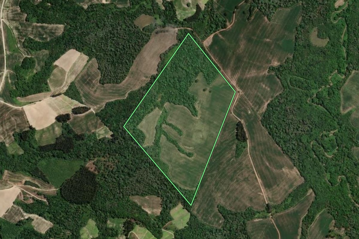 Imagem de satélite do imóvel rural em Rio Azul (PR), com o contorno declarado no CAR desenhado por cima.