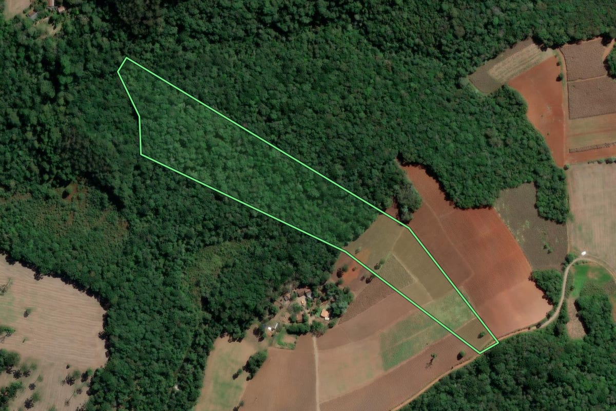 Imagem de satélite do imóvel rural em Rio Azul (PR), com o contorno declarado no CAR desenhado por cima.